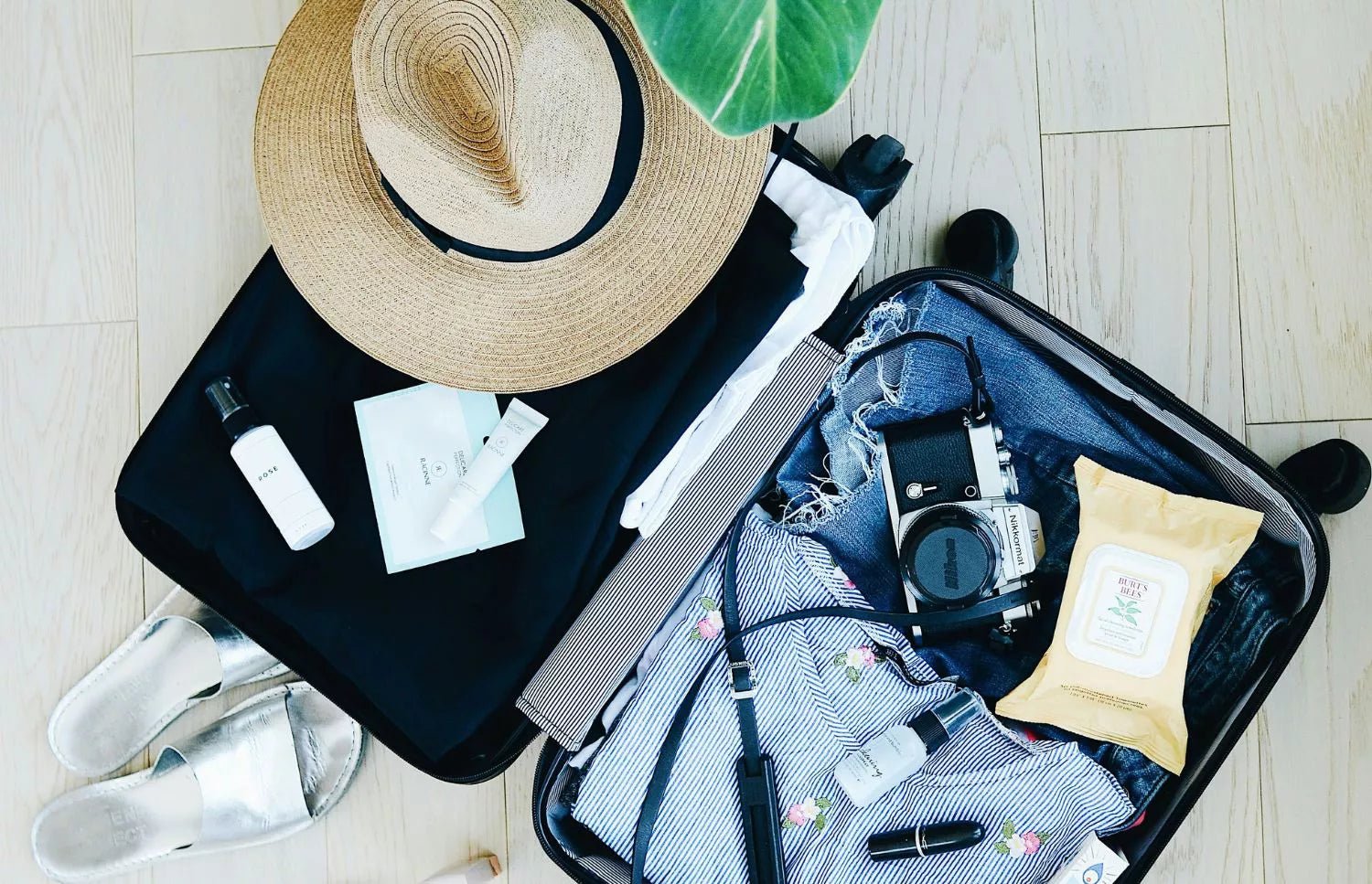 What Are Travel Essentials? Must-Have Items - CarrieAway