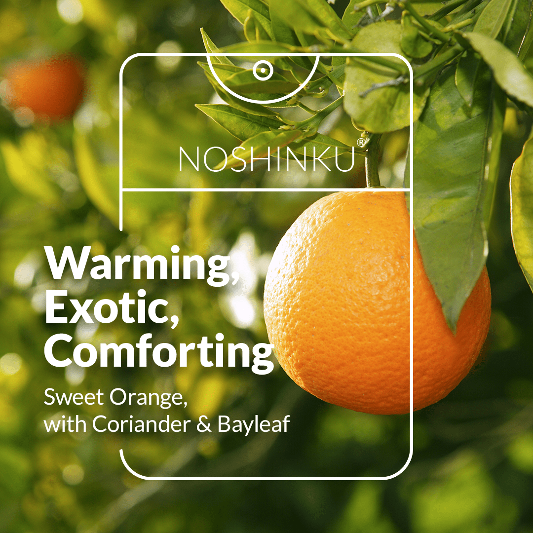 Noshinku Orange Coriander Moisturizing Hand Sanitizer .67 Oz - CarrieAway